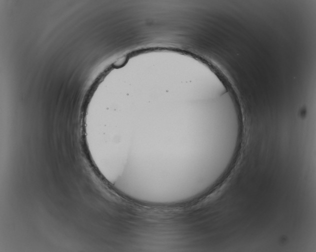 X0000115771077200912241745