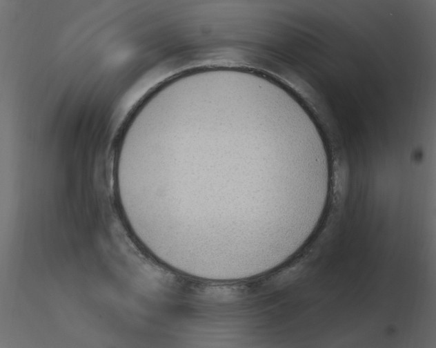 X0000115771078200912241745