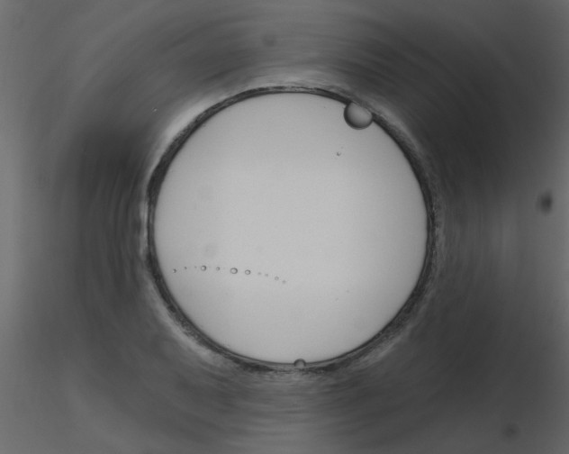 X0000115771079200912241745