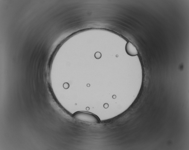 X0000115771080200912241745