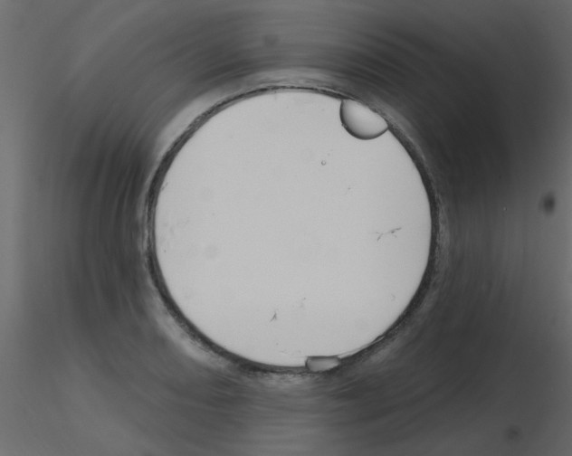 X0000115771082200912241745