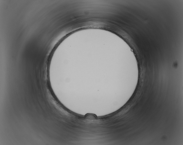 X0000115771083200912241745