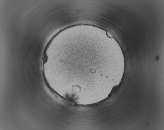 X0000115771084200912241745