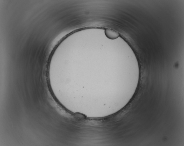 X0000115771086200912241745