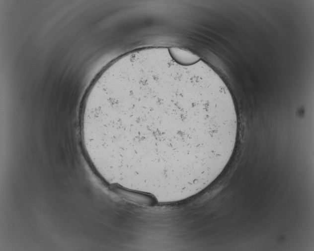 X0000115771087200912241745