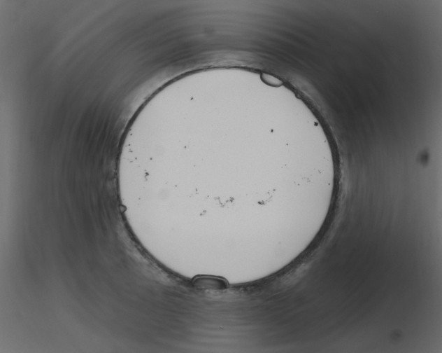 X0000115771089200912241745