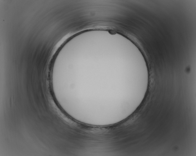 X0000115771091200912241745