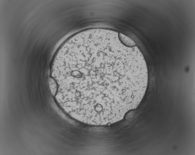 X0000115771092200912241745