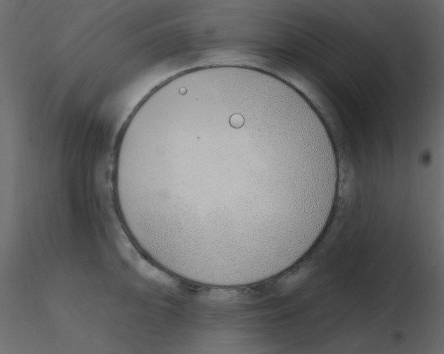 X0000115771094200912241745