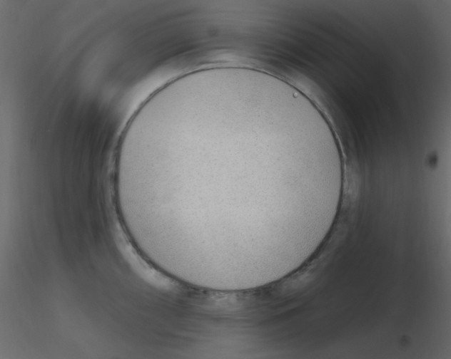 X0000115771098200912241744