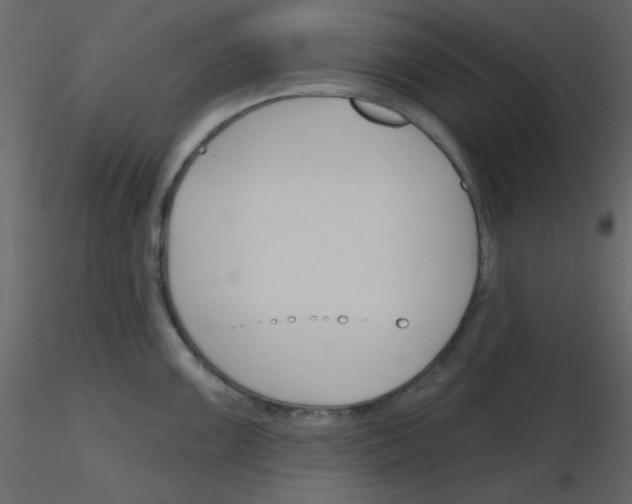 X0000115771099200912241744
