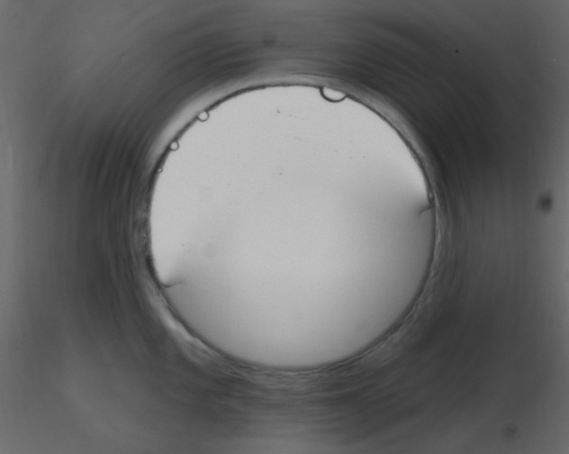 X0000115771101200912241744