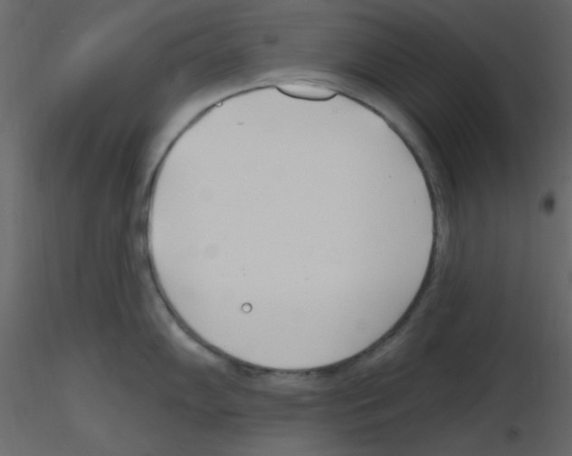 X0000115771102200912241744