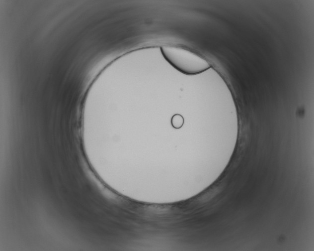 X0000115771103200912241744