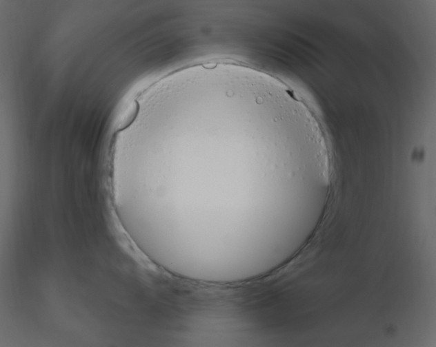 X0000115771104200912241744