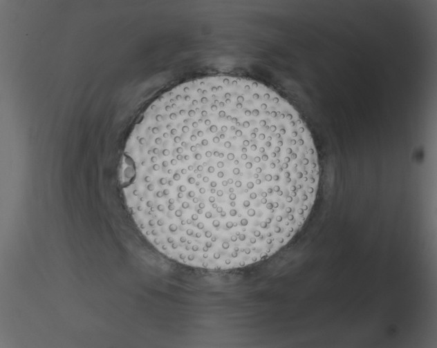 X0000115771105200912241744