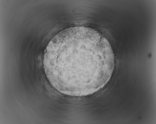 X0000115771106200912241744