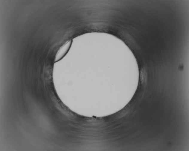 X0000115771107200912241744
