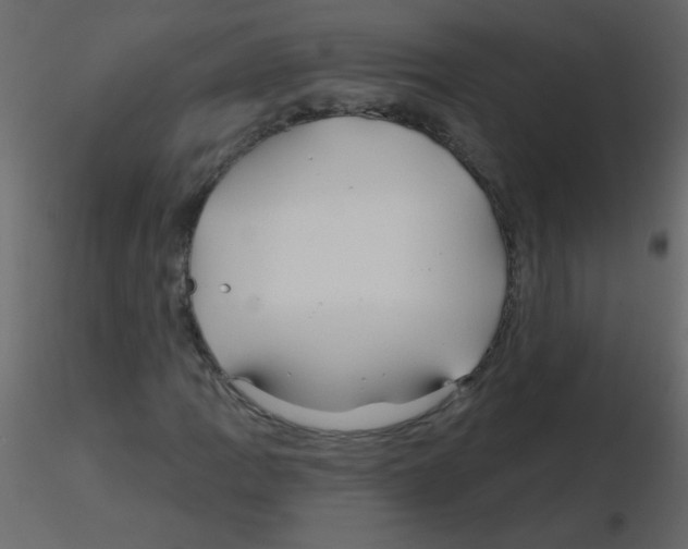 X0000115771109200912241744