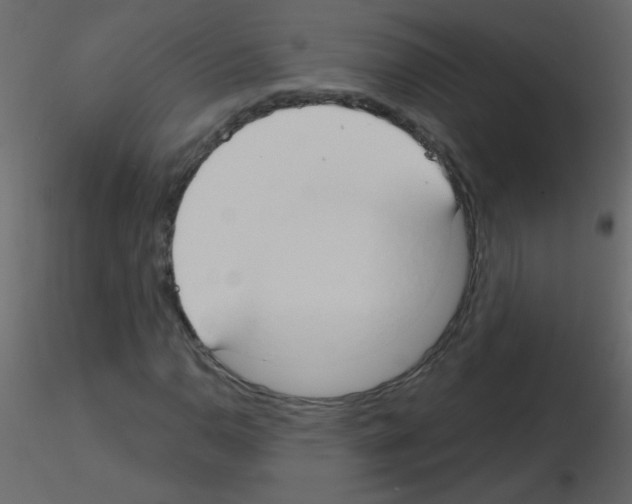 X0000115771110200912241744