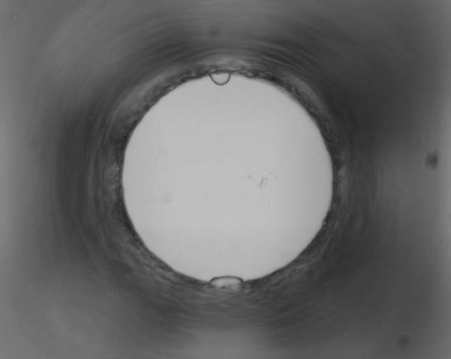 X0000115771111200912241744