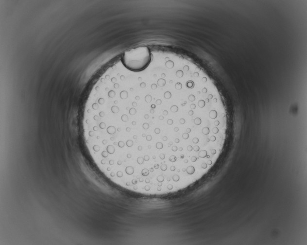 X0000115771113200912241744