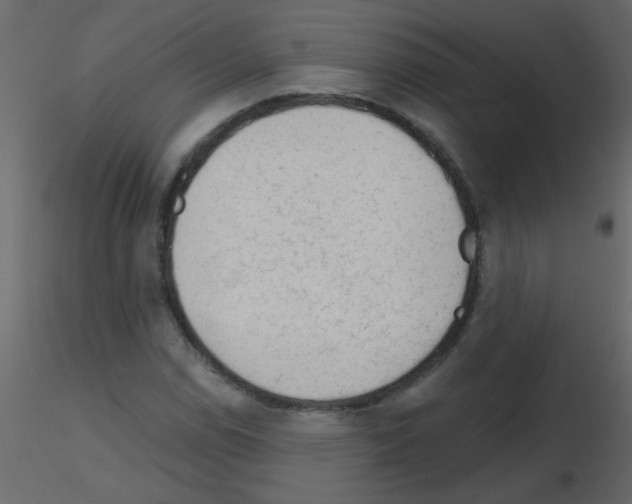 X0000115771114200912241744
