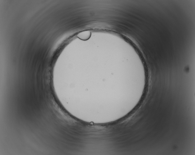 X0000115771115200912241744