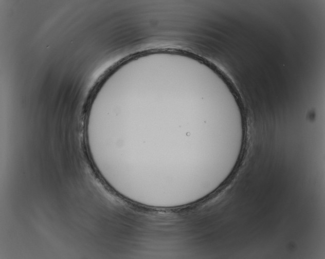 X0000115771119200912241744