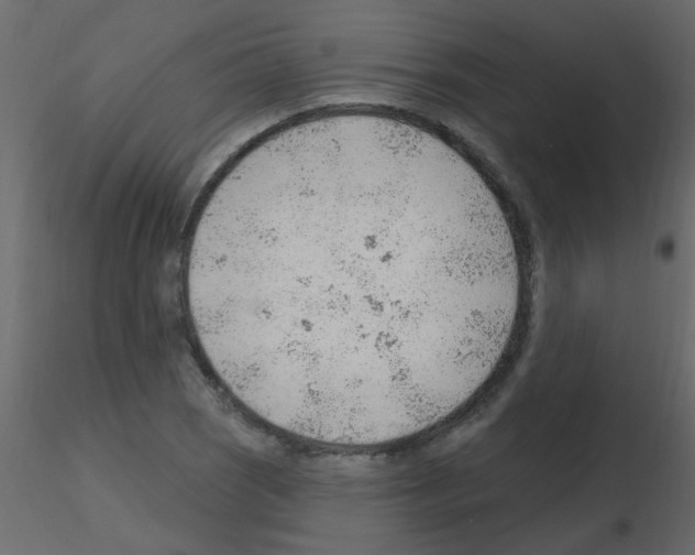 X0000115771121200912241744