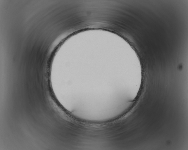 X0000115771122200912241744
