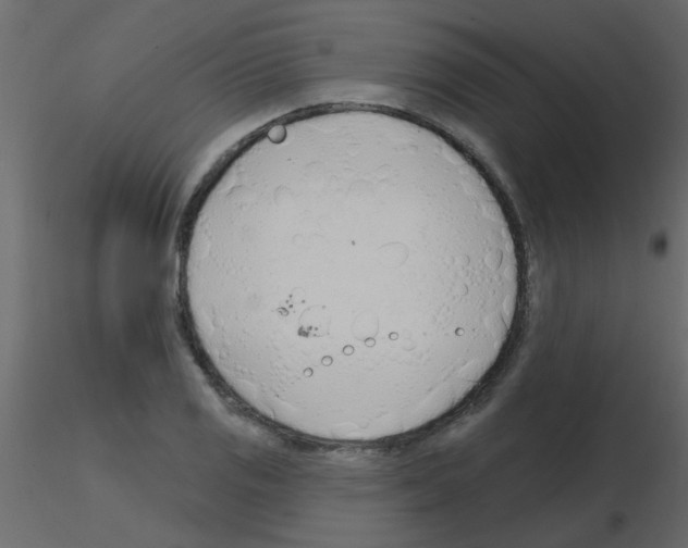 X0000115771125200912241744