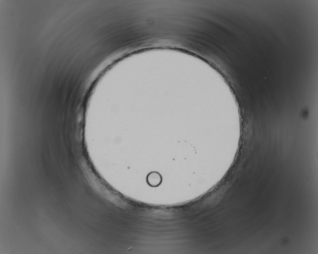 X0000115771126200912241744