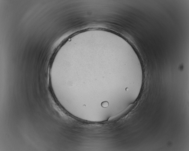 X0000115771127200912241744