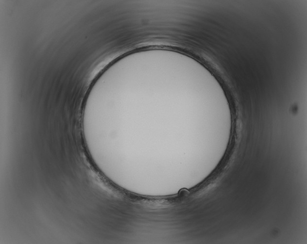 X0000115771129200912241744