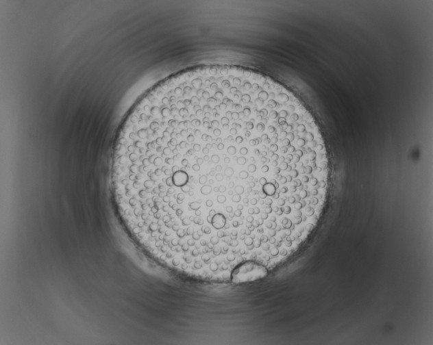 X0000115771130200912241744