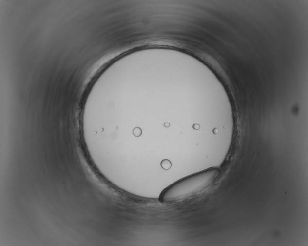 X0000115771133200912241744