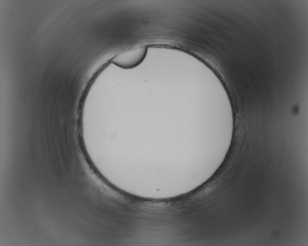 X0000115771135200912241744