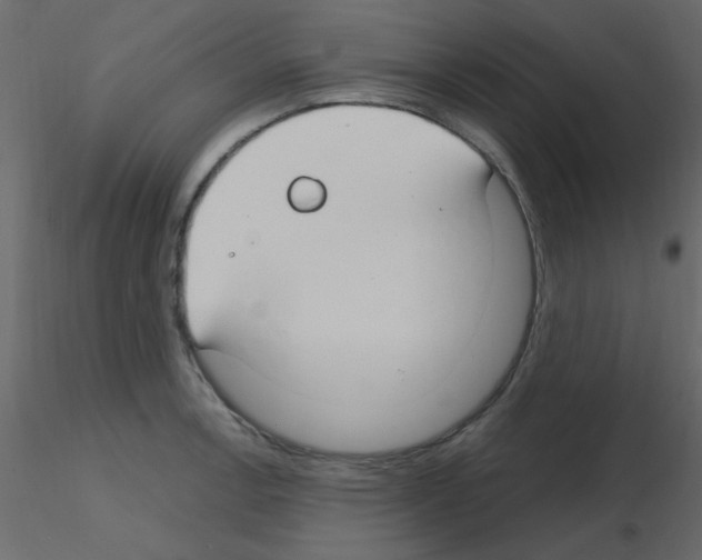 X0000115771138200912241744