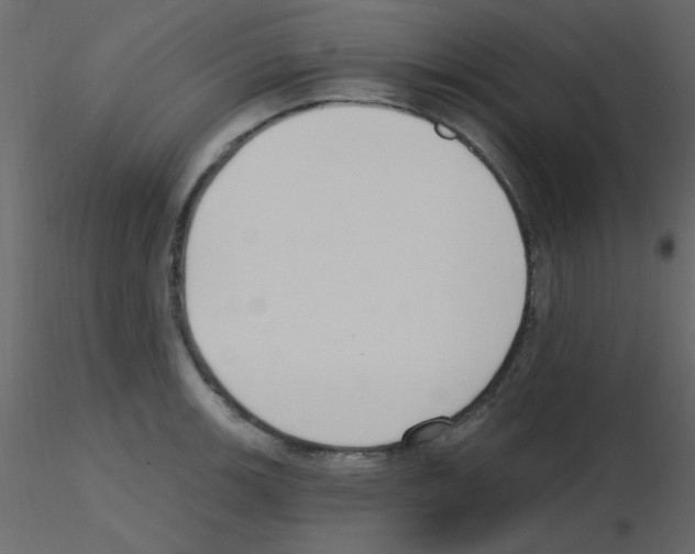 X0000115771139200912241744