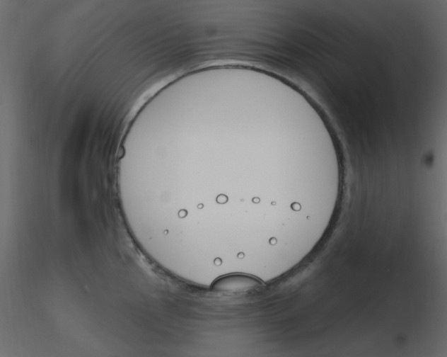 X0000115771145200912241744