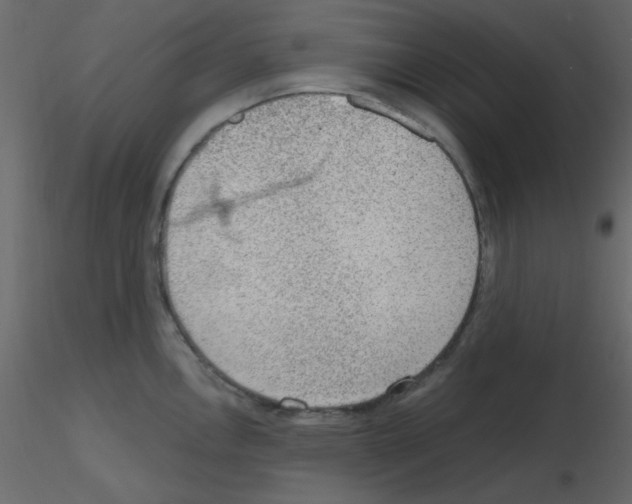 X0000115771146200912241744