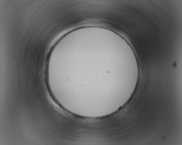 X0000115771147200912241744