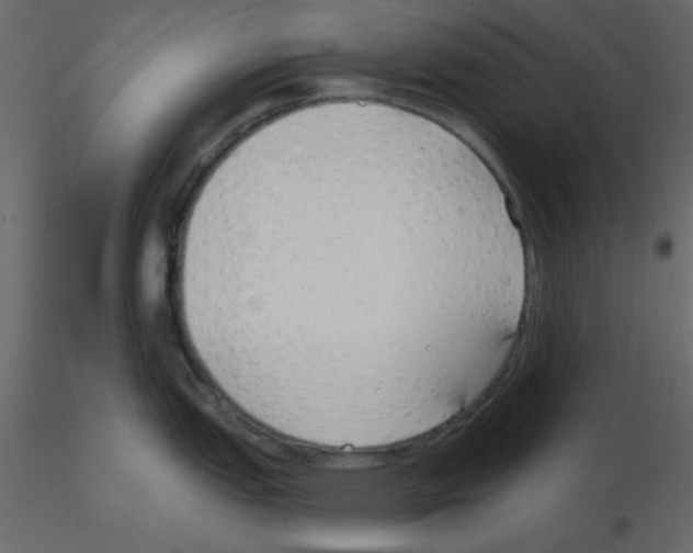 X0000115771151200912241744