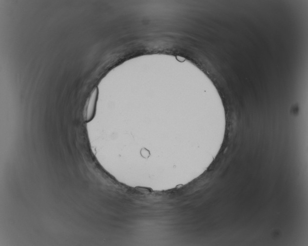 X0000115771153200912241744