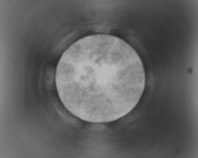 X0000115771154200912241744