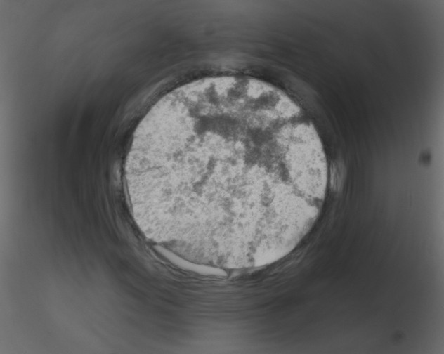 X0000115771155200912241744