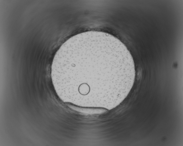 X0000115771156200912241744