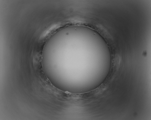 X0000115771157200912241744