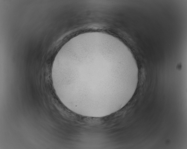 X0000115771158200912241744